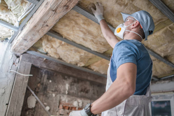 Best Geographic-Specific Insulation Services in Columbus, IN
