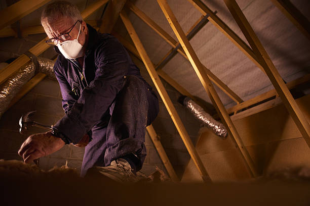 Best DIY Insulation Kits and Guidance in Columbus, IN