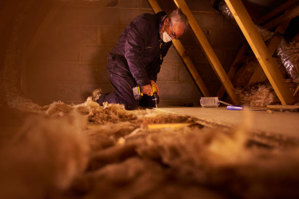 Professional Insulation Contractor in Columbus, IN